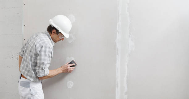 Professional Painting in Healdsburg, CA